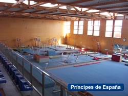 Pavell&oacute; gimn&agrave;stica 1