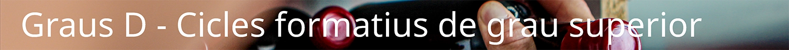 Graus D - Cicles formatius de grau superior