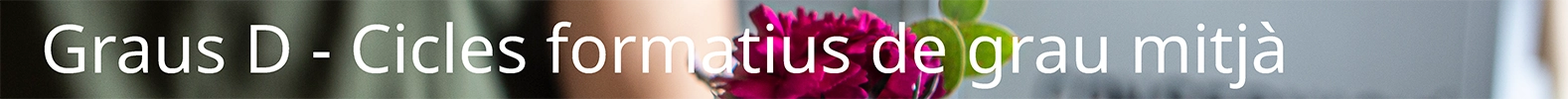 Graus D - Cicles formatius de grau mitj&agrave;