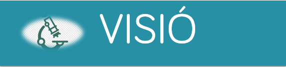 missi&oacute;-visi&oacute;