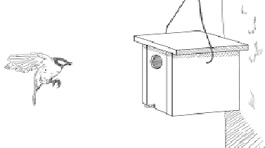 2021_01_28_formacio acompanyament families.png