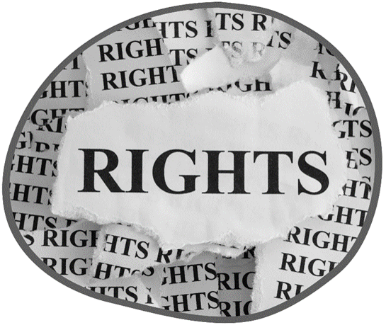 Imatge portada drets sexuals