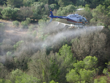 Lagarta peluda de la encina - Tratamiento a&eacute;reo directo.
