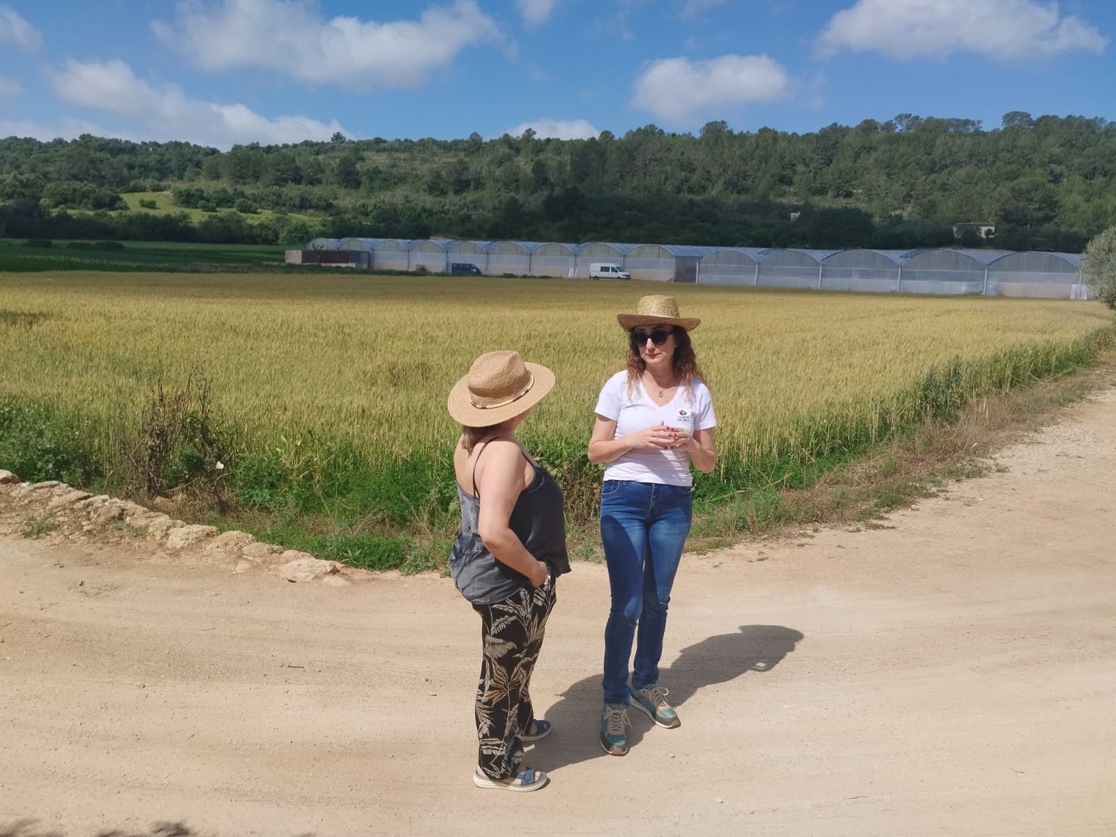  	archivopub.do?ctrl=MCRST7105ZI507189&id=507189