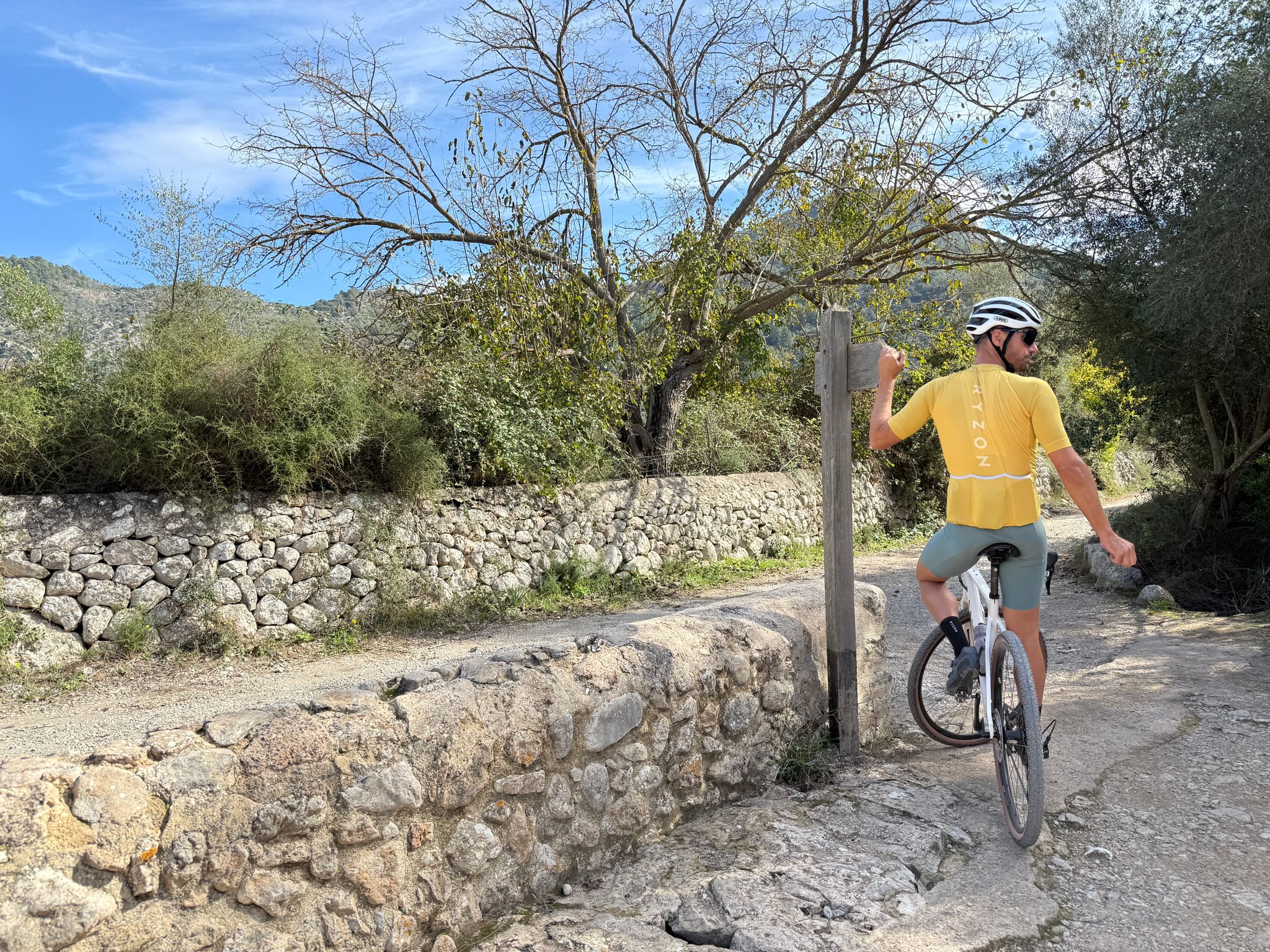  	archivopub.do?ctrl=MCRST7105ZI535869&id=535869